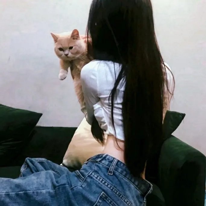 美丽的日子