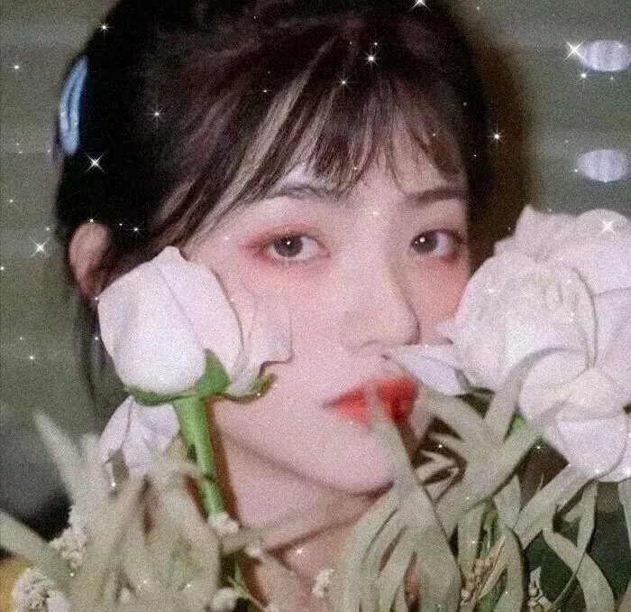 青春纪录